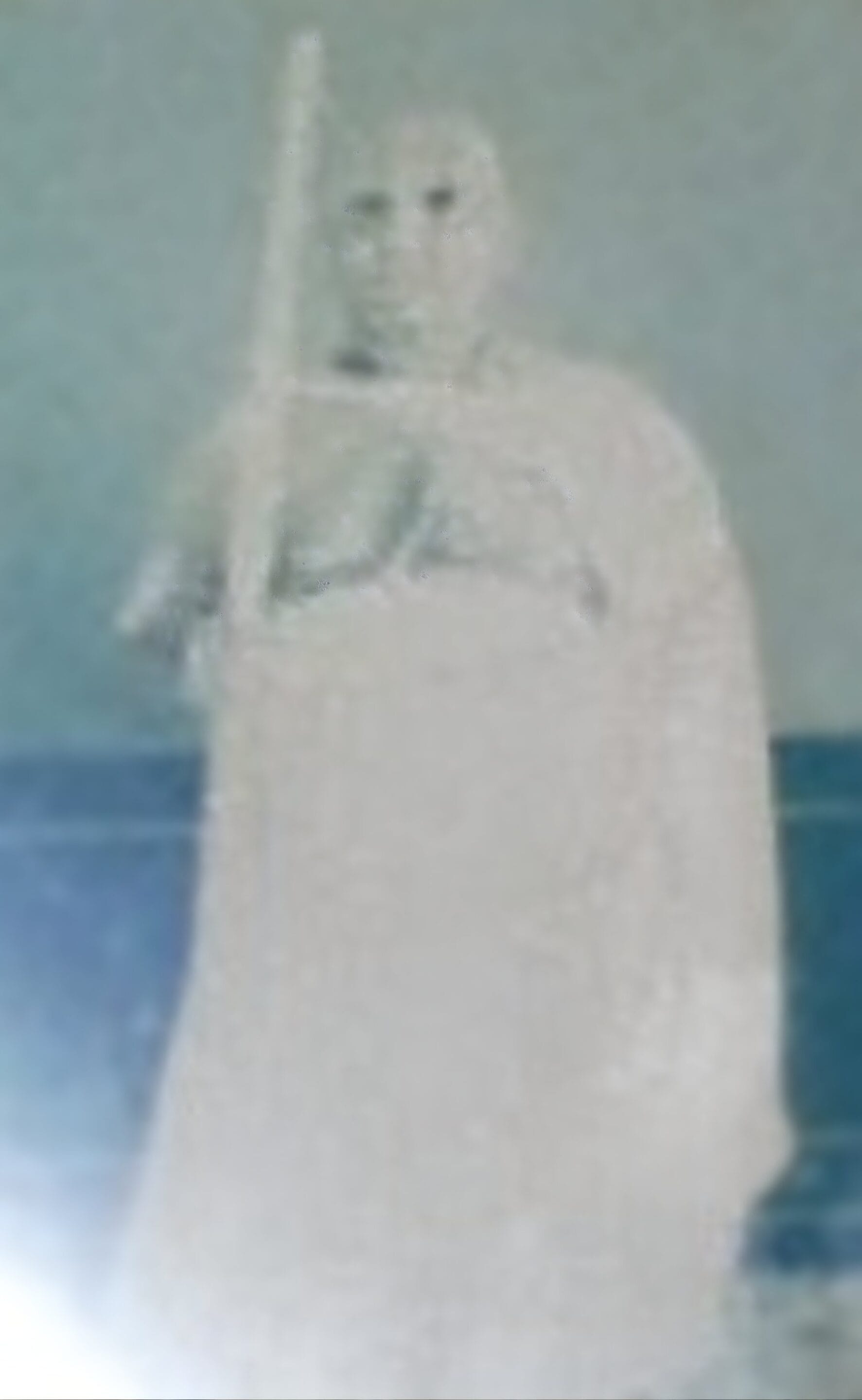 Sannyasa Ceremony of Srila BJ Janardan Goswami